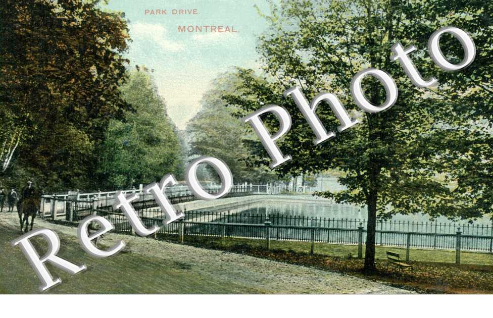 park Drive