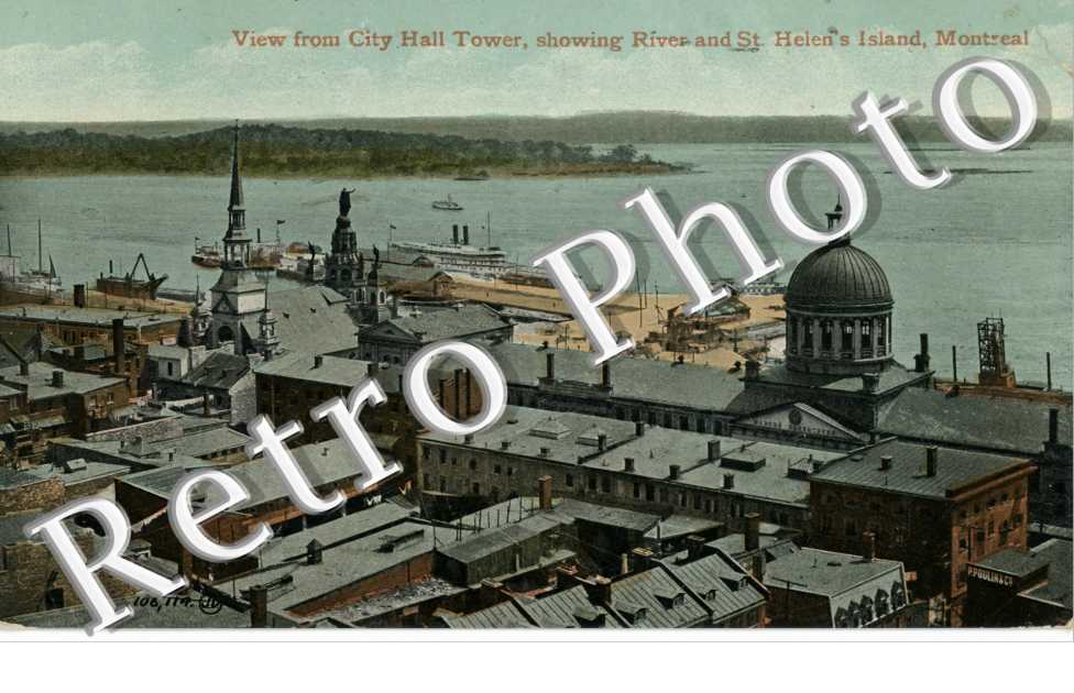 View from city Hall Tower