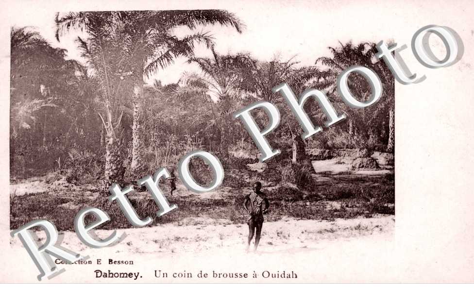 Un Coin de brousse a Ouidah