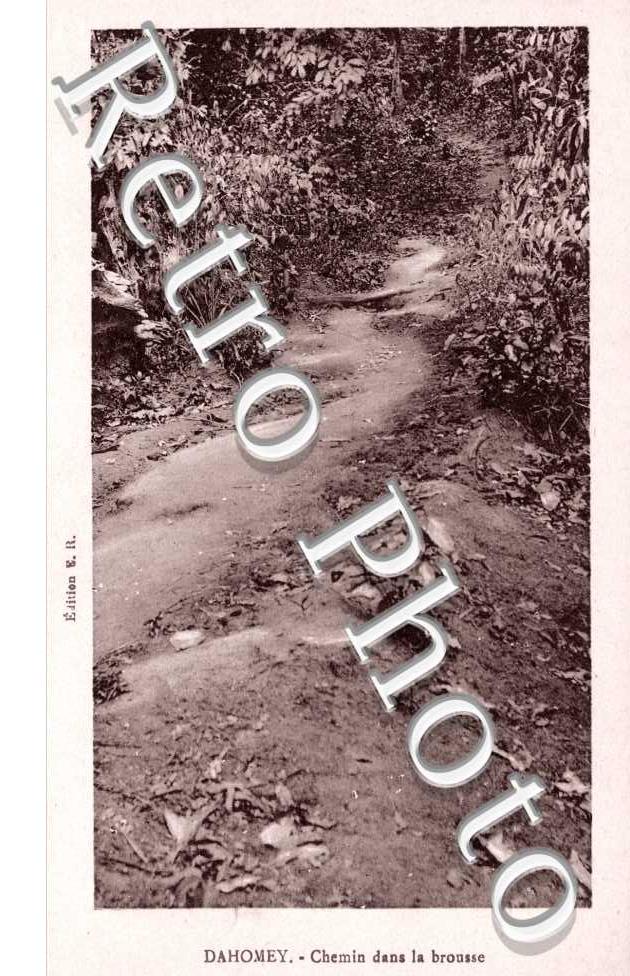 Chemin dans la Brousse