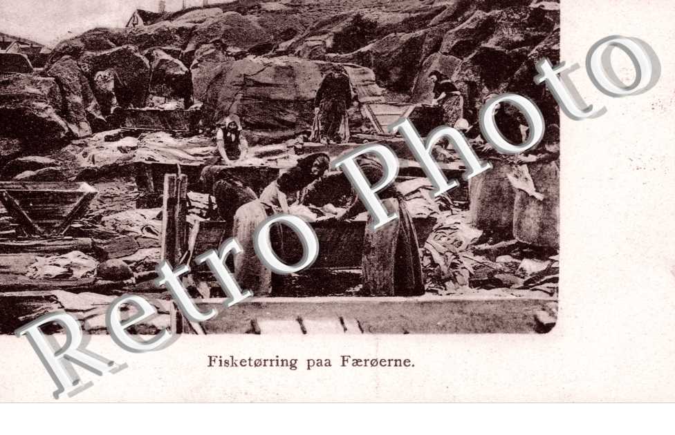 Fisketorring paa Faeroerne