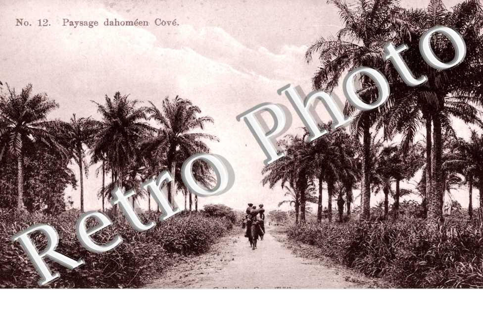 Paysage dahomeen