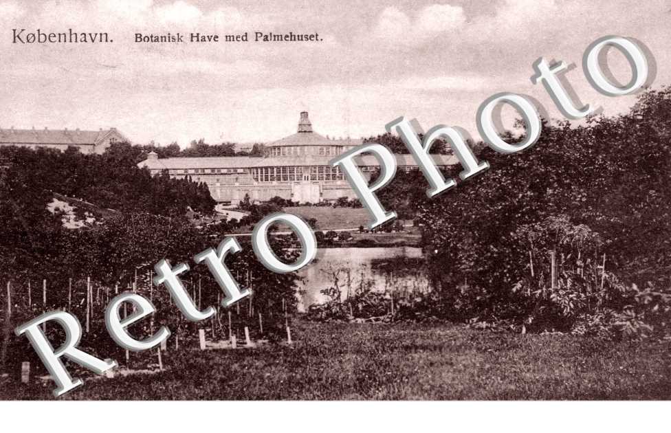 Botanisk Have med Palmehuset
