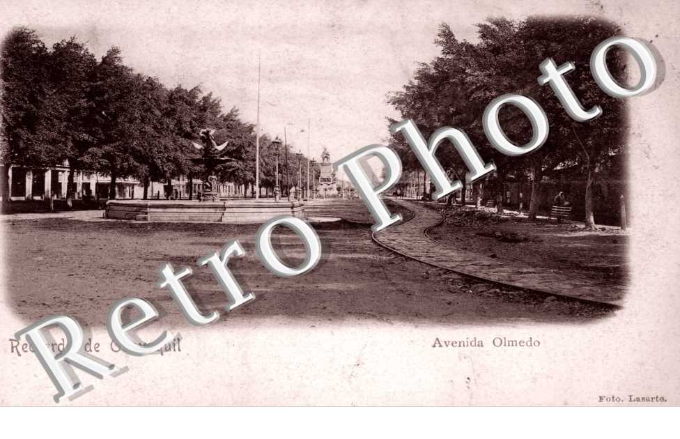 Avenida Olmedo