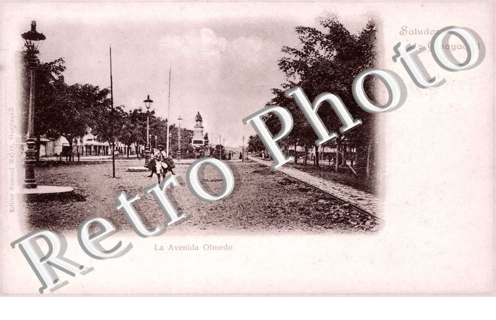 Avenida Olmedo