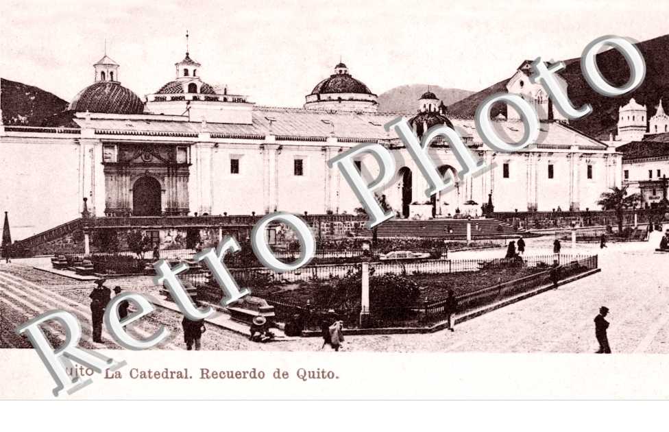 la Catedral