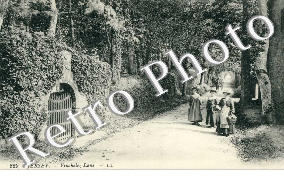 Vinchelez lane
