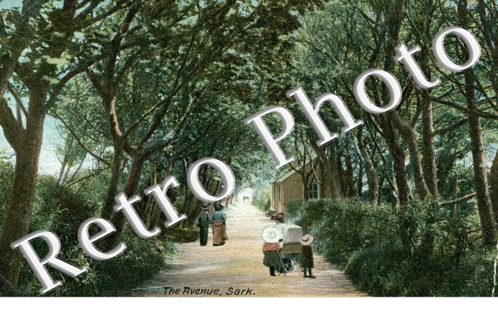 The Avenue