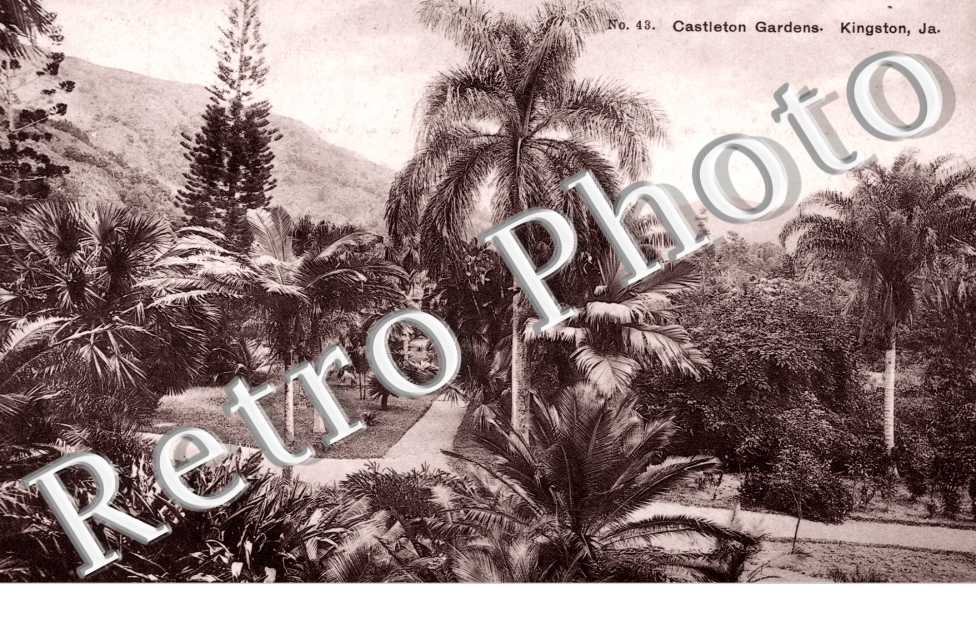 Castleton Gardens