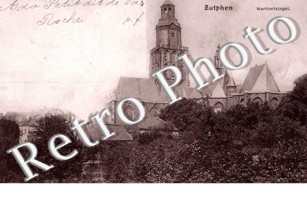 martinetsingel