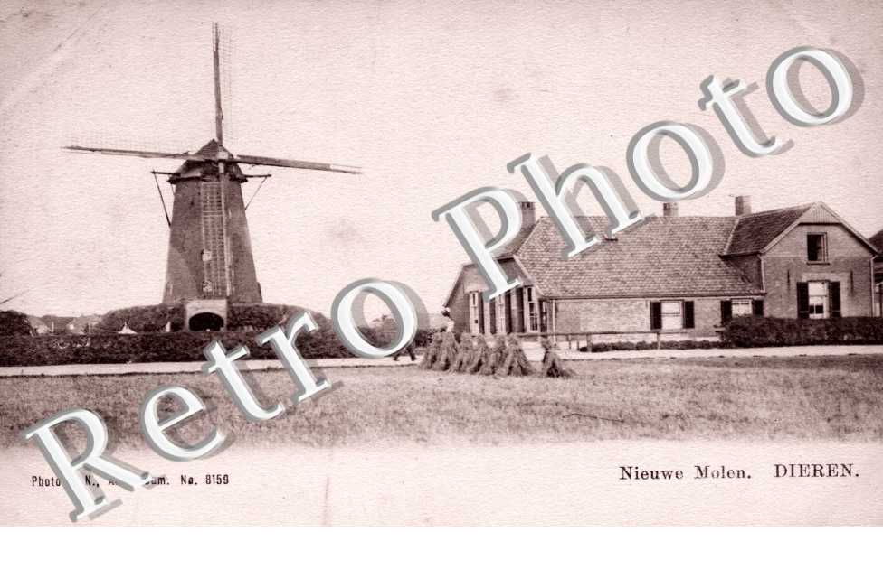 nieuwe molen