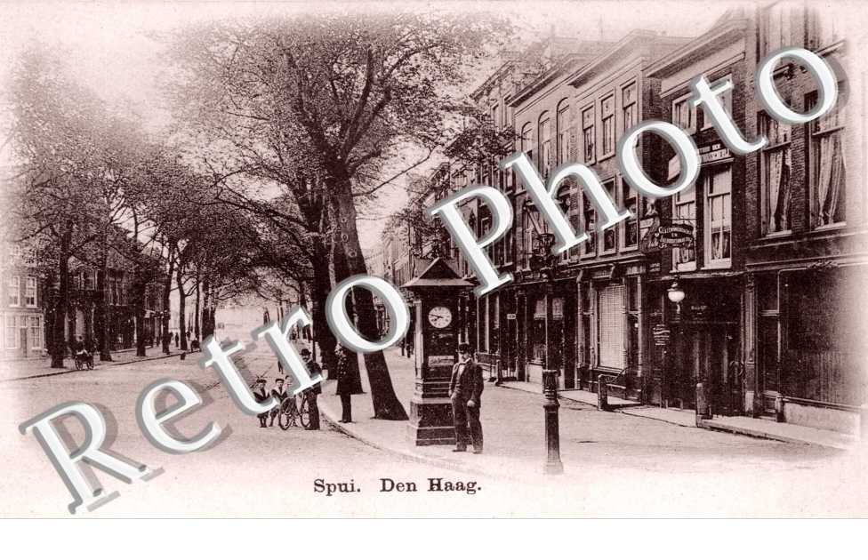 Spui
