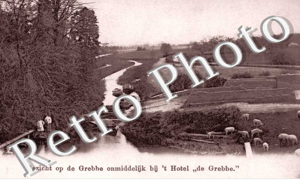 Gezicht