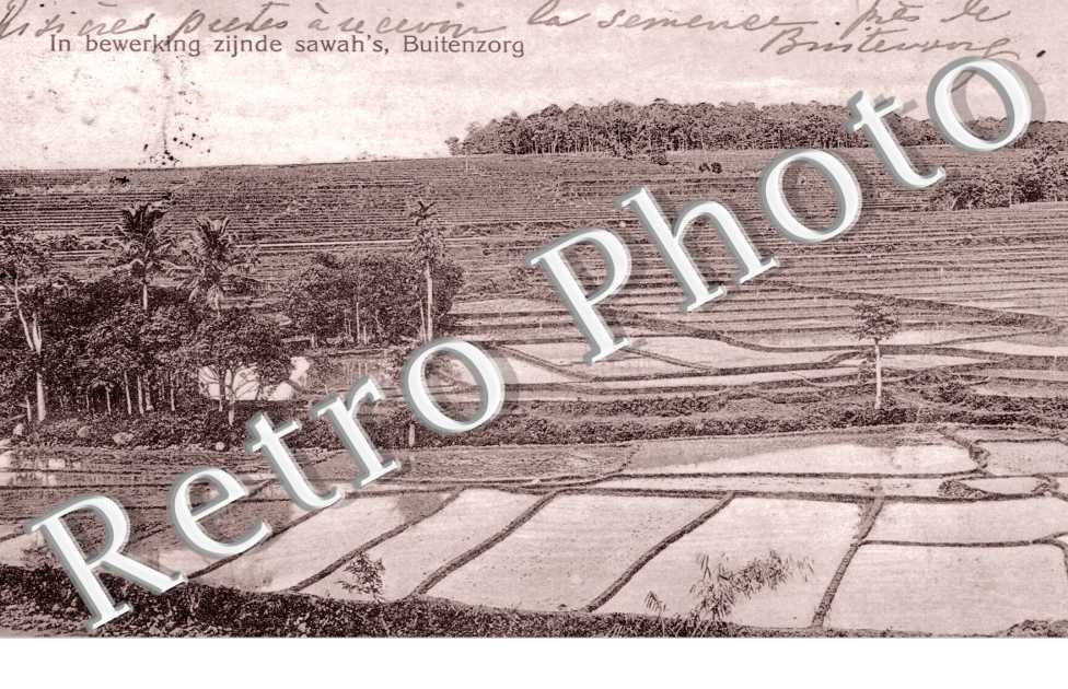 In bewerking zijnde sawah's