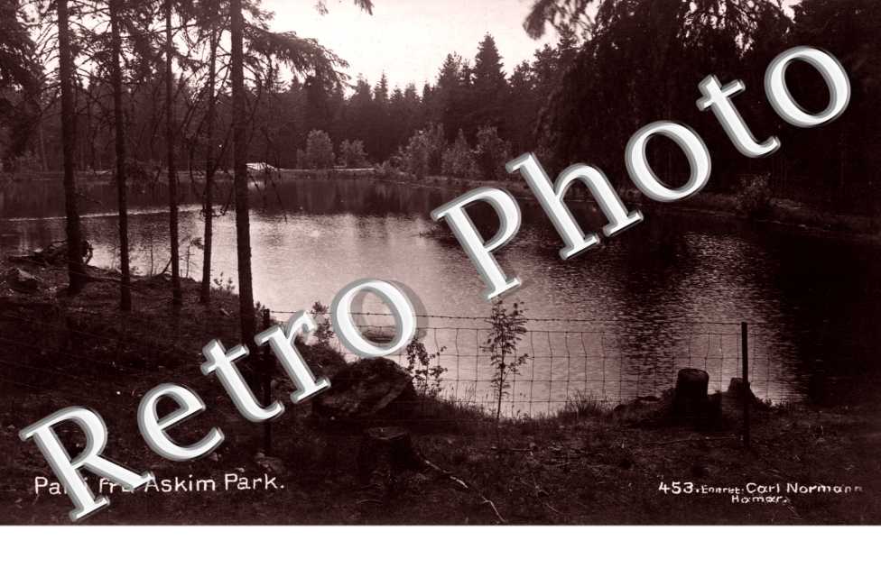 Parti fra Askim Park