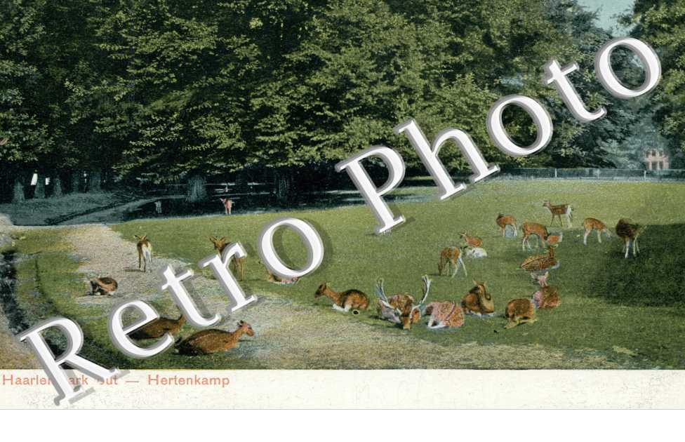Park - Hertenkamp