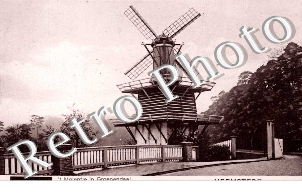 Molentje in Groenendaal