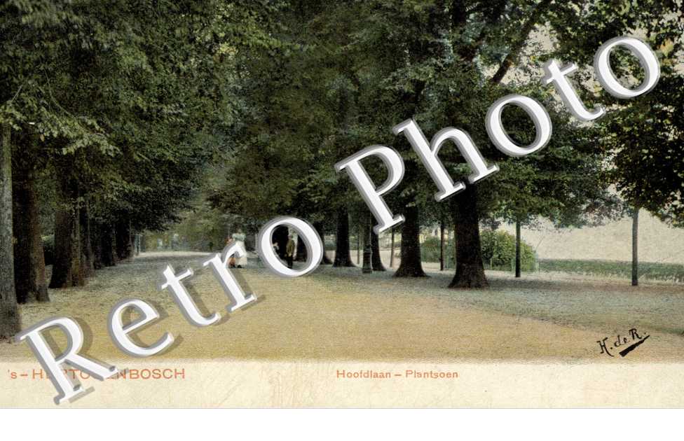 Hoofdlaan