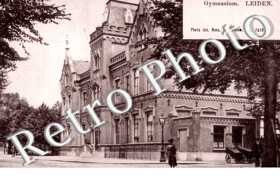 Gymnasium