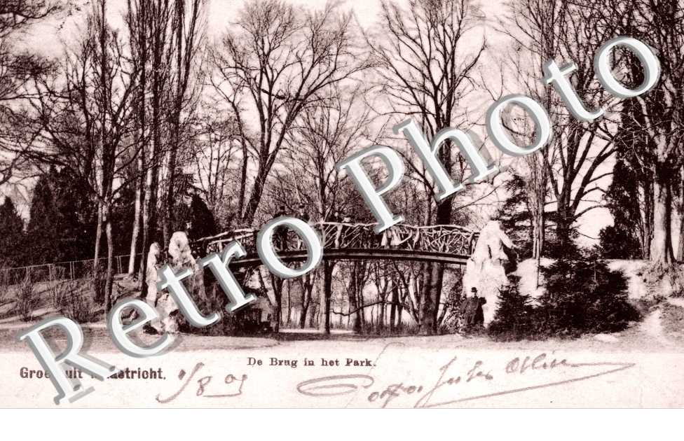 De Brug in het Park