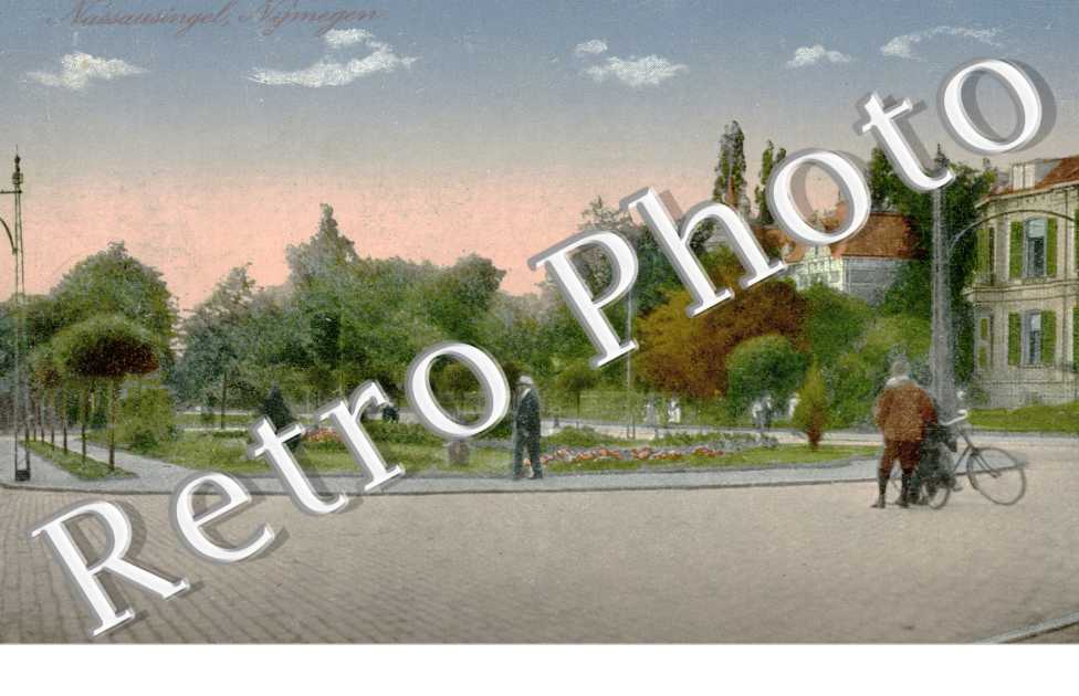 Nassausingel