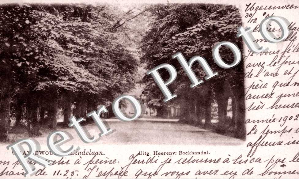 Lindelaan