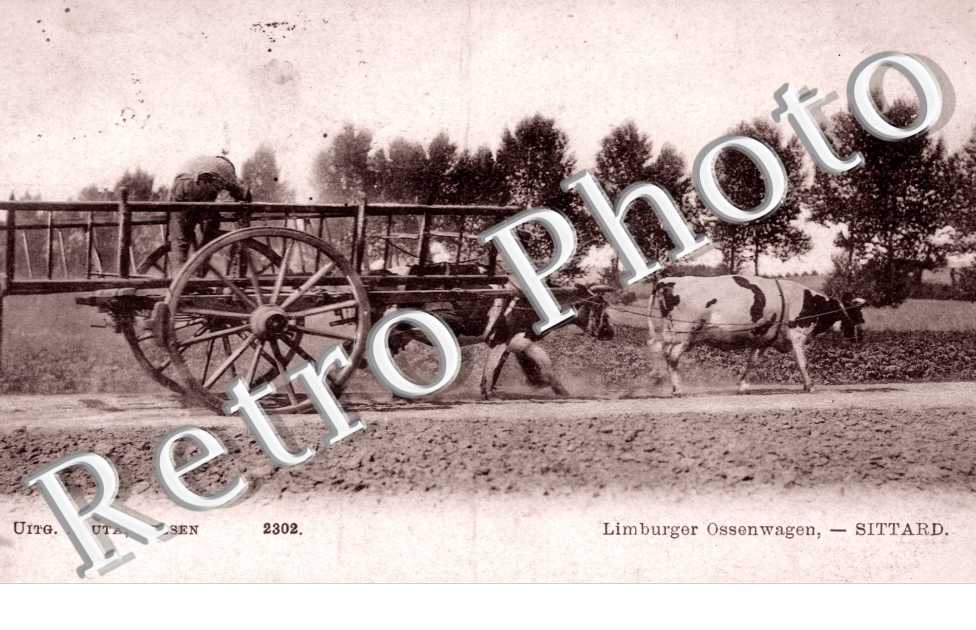 Limburger Ossenwagen