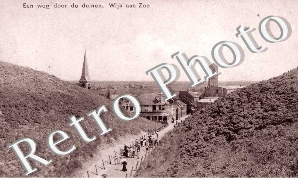 Een weg door de duinen