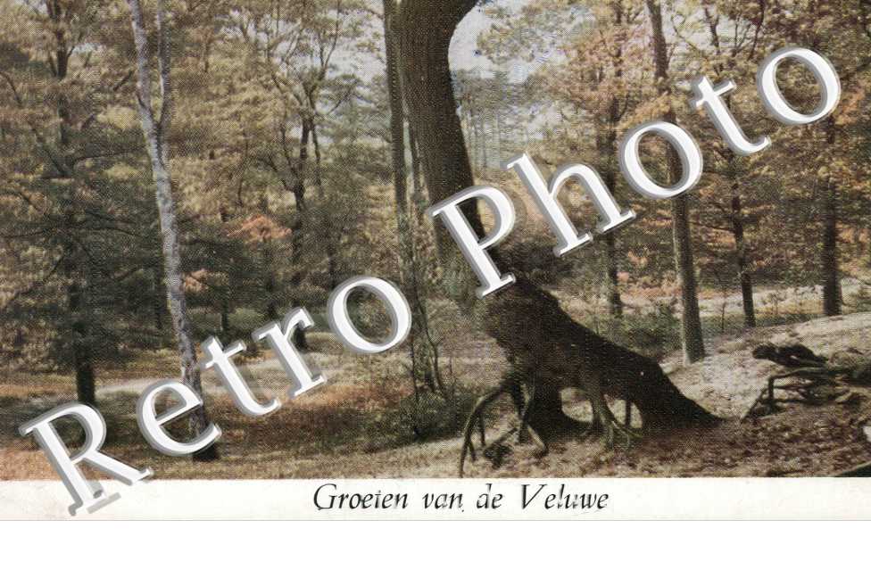 Groeten van de Veluwu