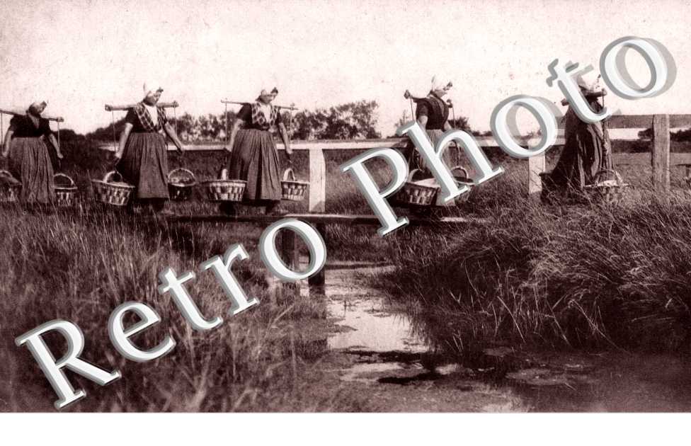 NAAR DE STAD VISCHVROUWEN  