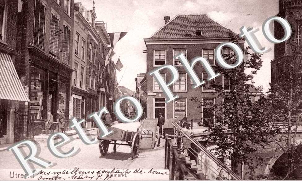 Lijnmarkt