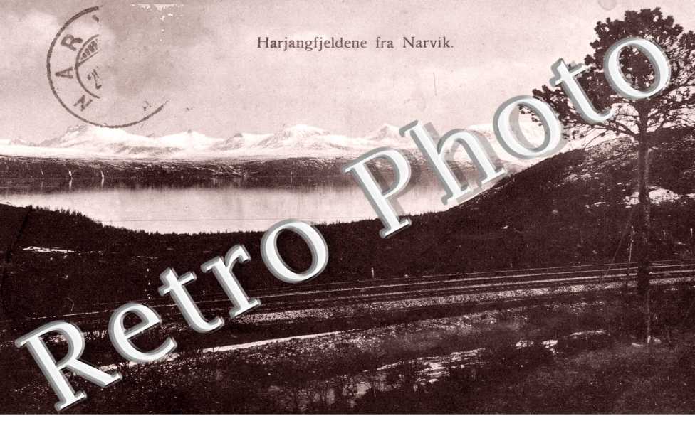 Harjanfjedelne fra Narvik