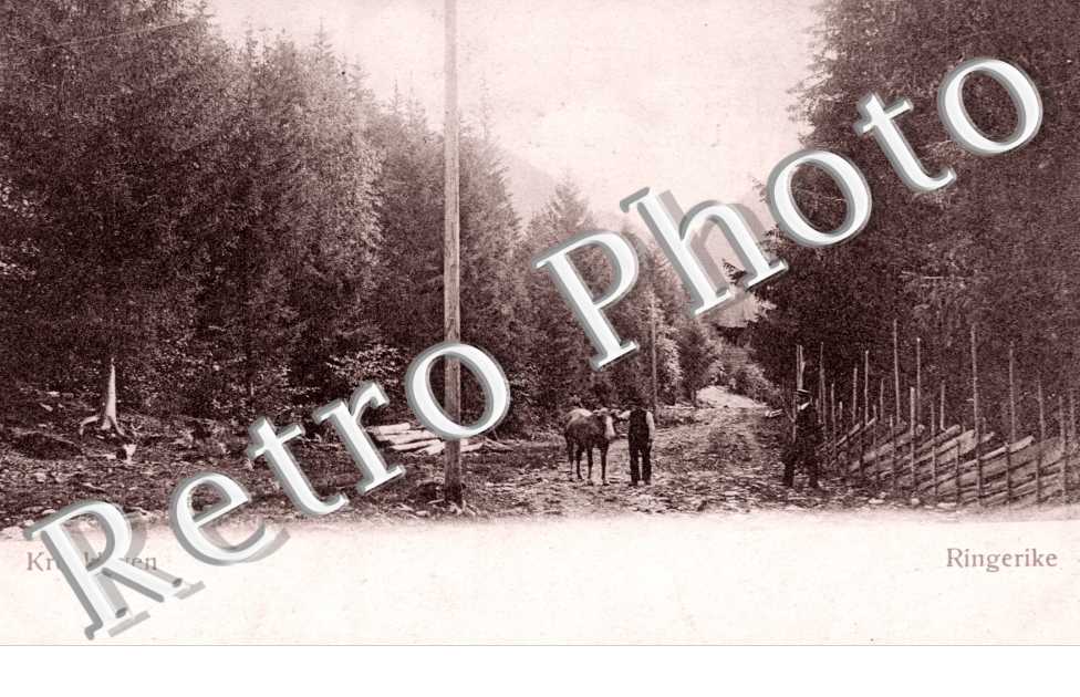 Ringerike