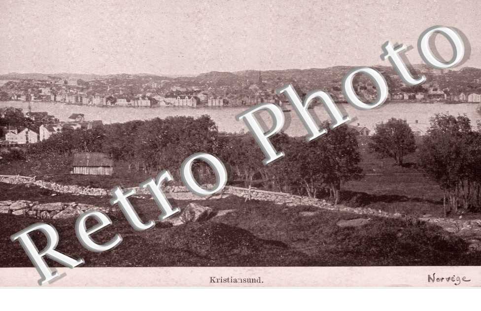 Vue Panoramique