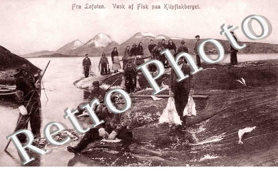 Fra Lofoten, Vask al Fisk paa Klipfiskberget