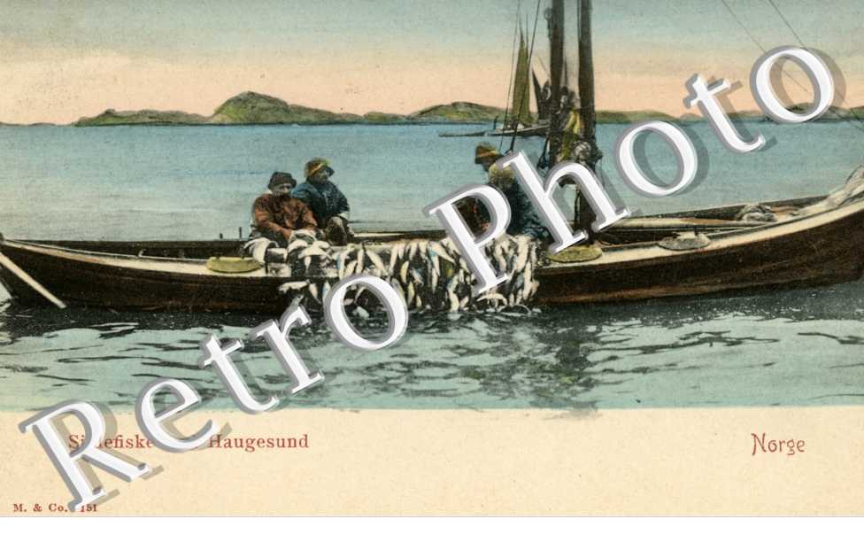 Sildefiske ved Haugesun