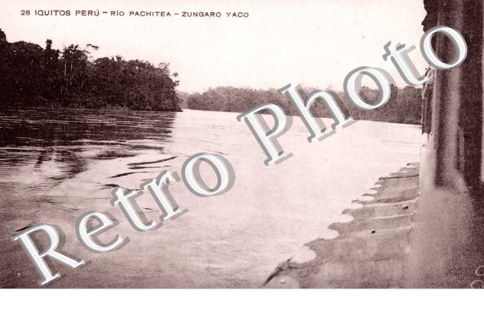 Rio Caqueta, Zungaro Yaco