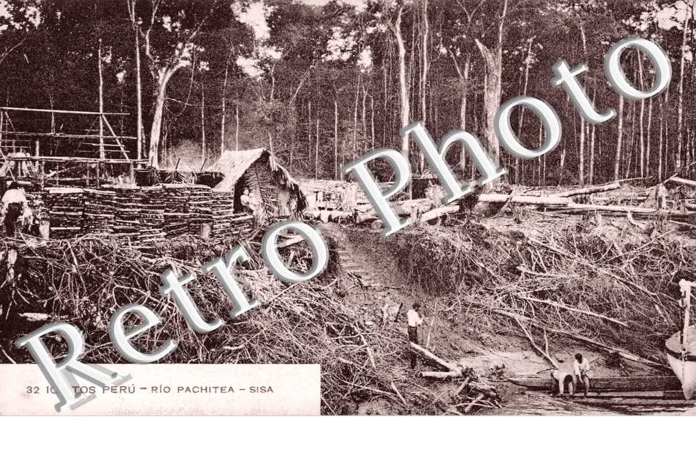 Rio Pachitea, Sisa