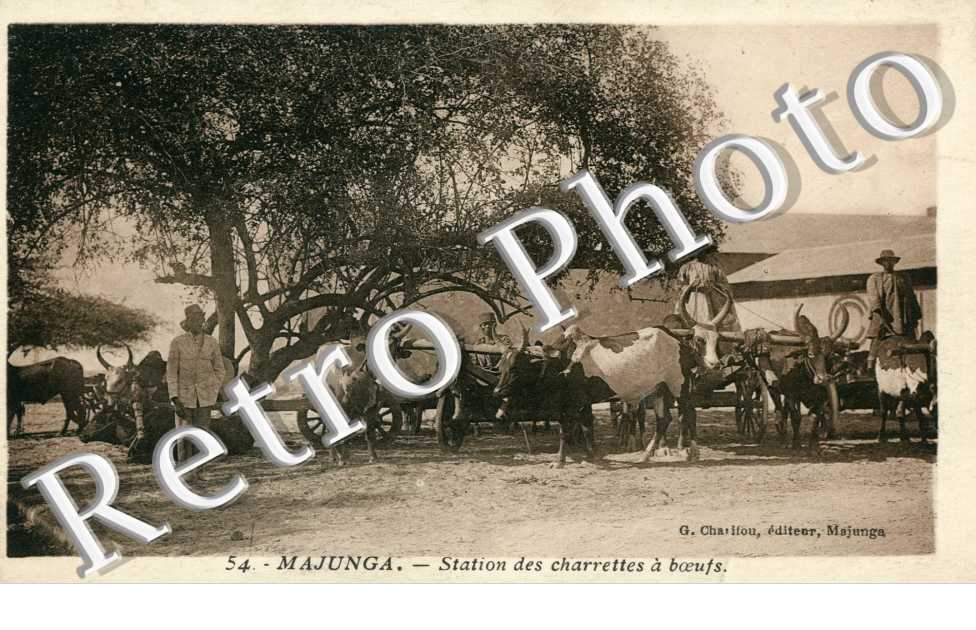 Station des Charrettes à Boeufs