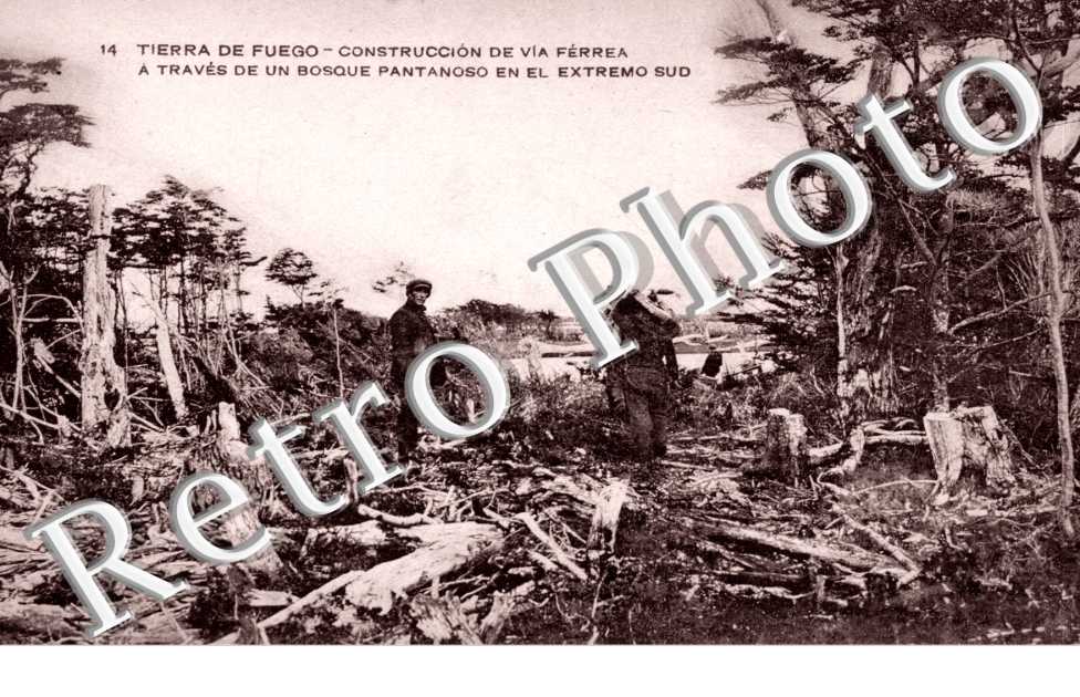 Construccion de via ferrea a traves de un bosque pantanoso en el extremo sud