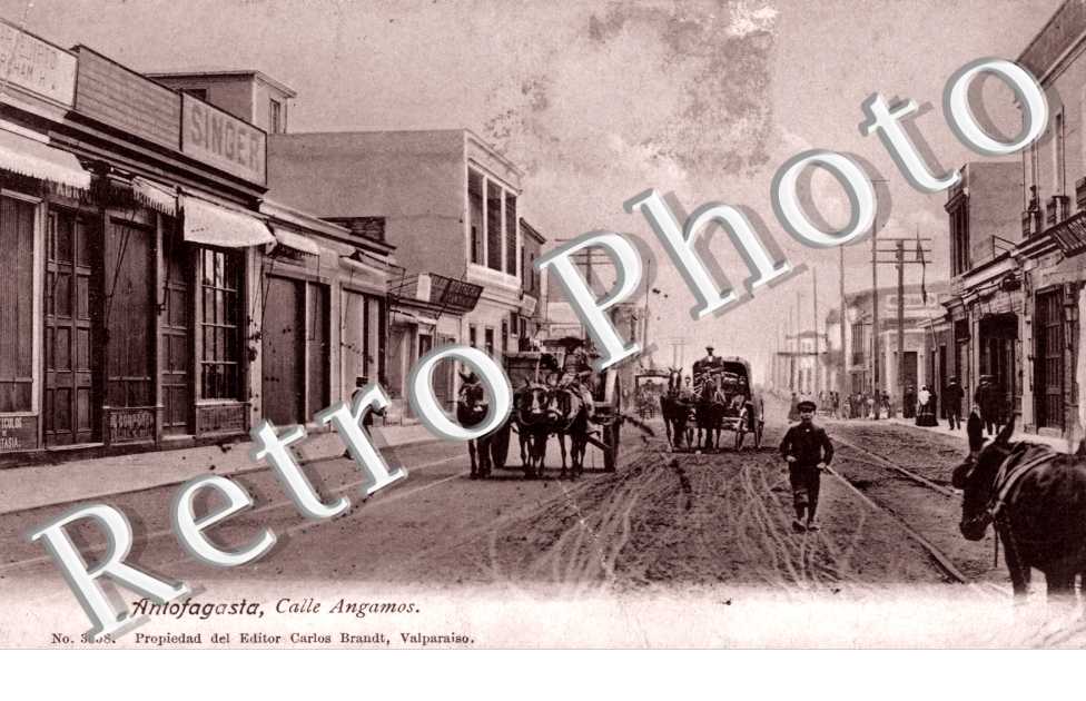 Calle Angamos