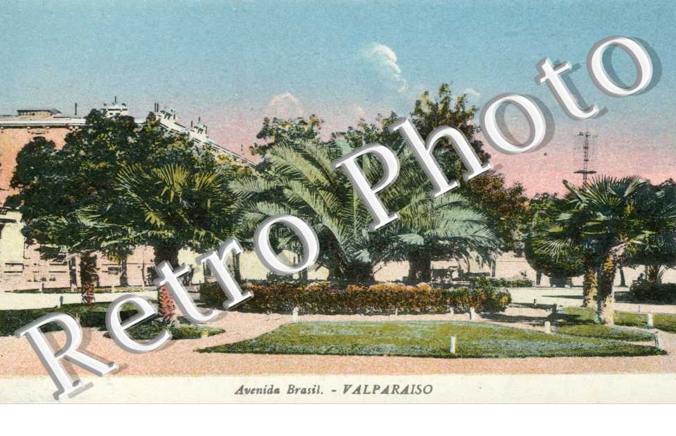 Avenida Brasil