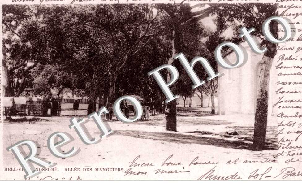 Allee des Manguiers