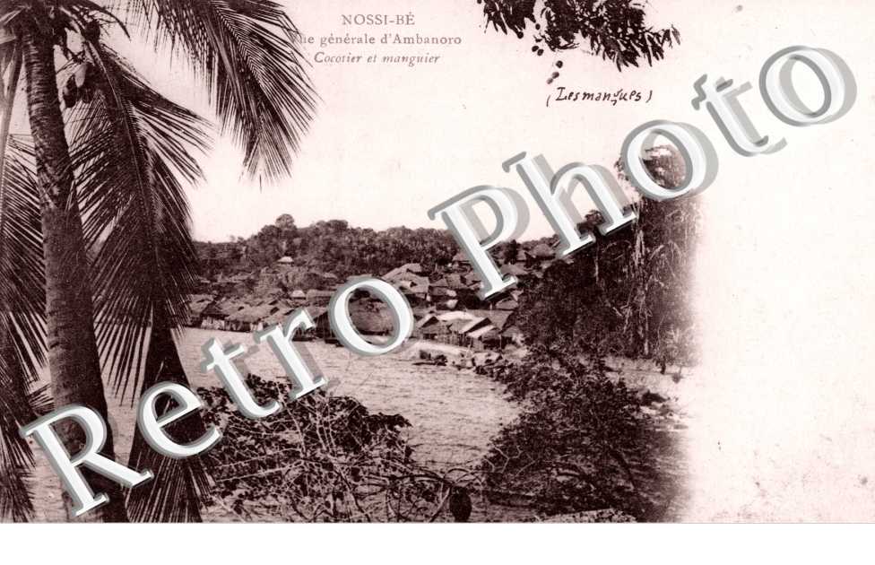 Vue Generale d'Ambanoro, Cocotier et Manguier
