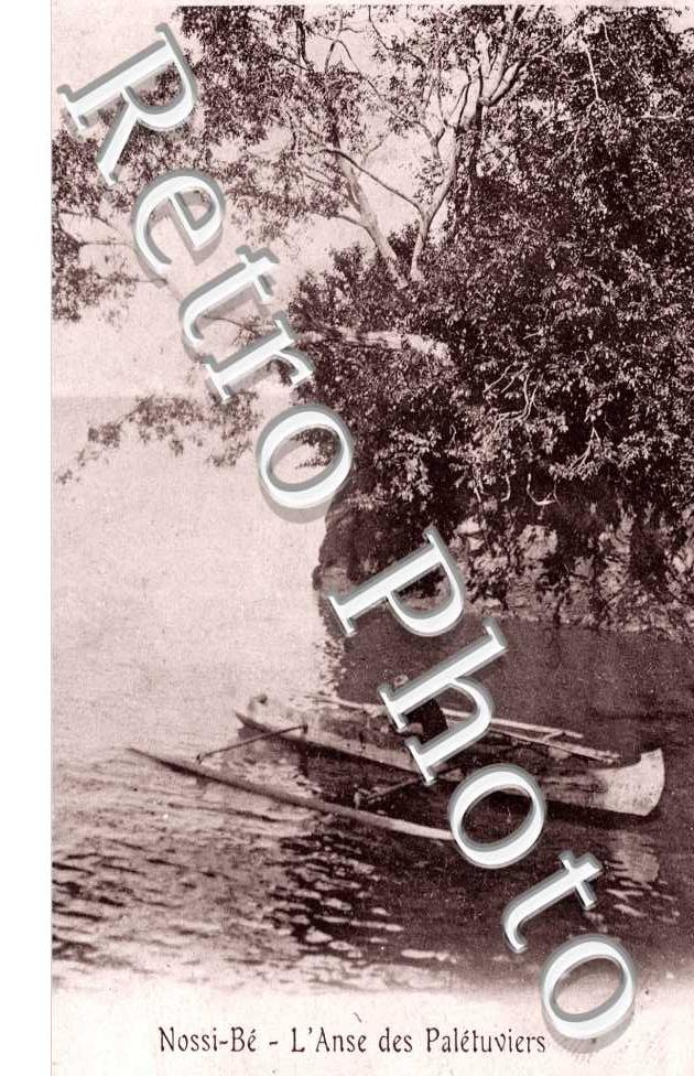 l'anse des Palétuviers