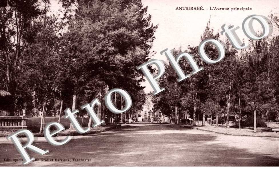 l'Avenue Principale