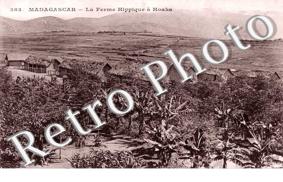la Ferme Hippique a Hoaka