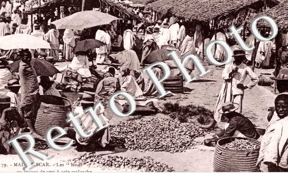 les "lendi" ou cocons de vers a soie malgache