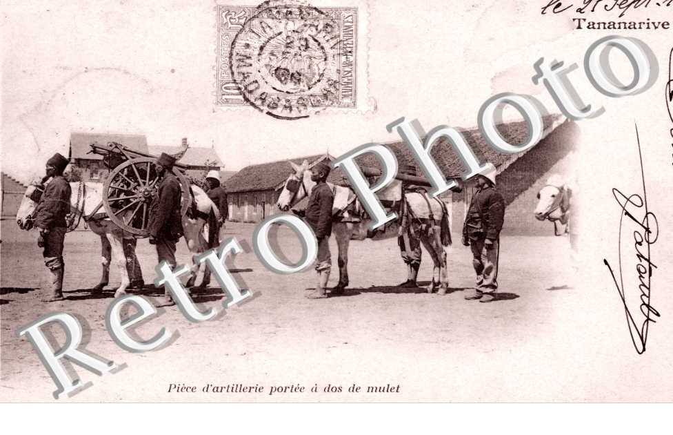 Piece d'artillerie portee a dos de mulet