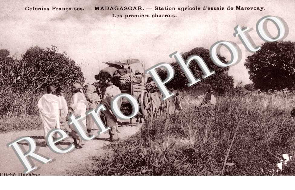 Station Agricole d'essais de Marovoay, les premiers charrois
